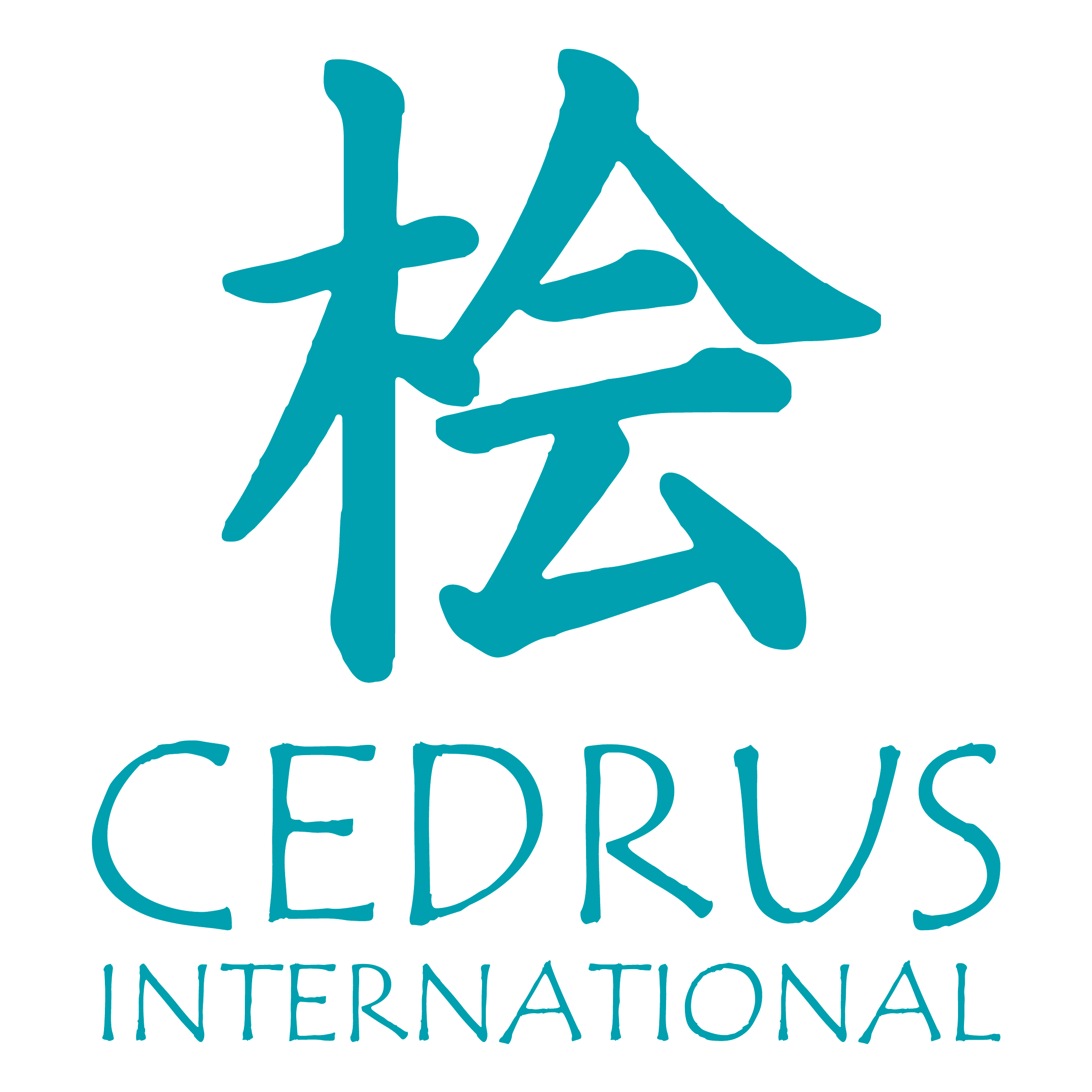 CERDUS International s.r.o.